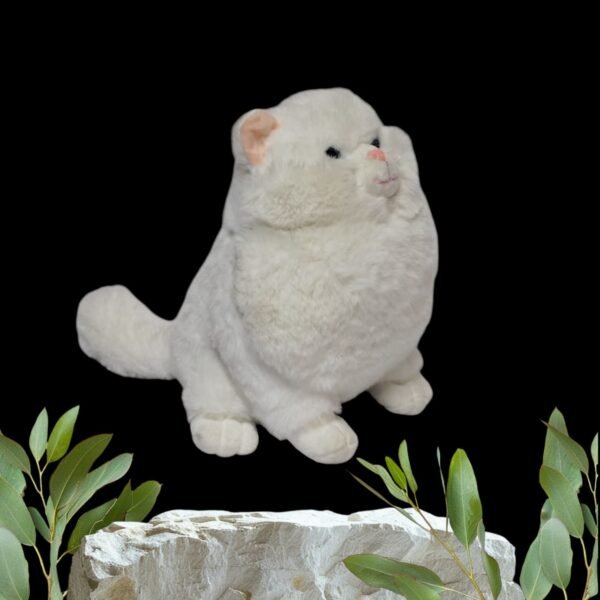 GATITA
