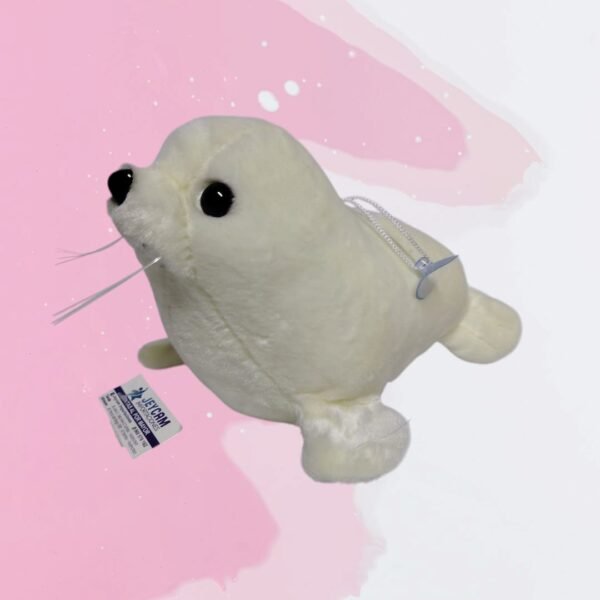 FOCA
