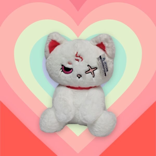 GATO PIRATA