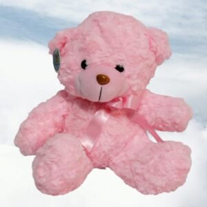 OSOS TEDDY