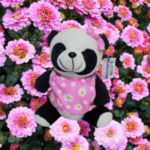 PANDA FLORES