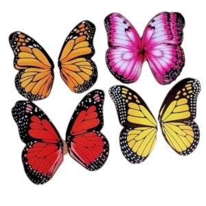 ALAS MARIPOSAS 22X20