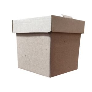 CAJA KRAFT COLOR ENTERO 10X10
