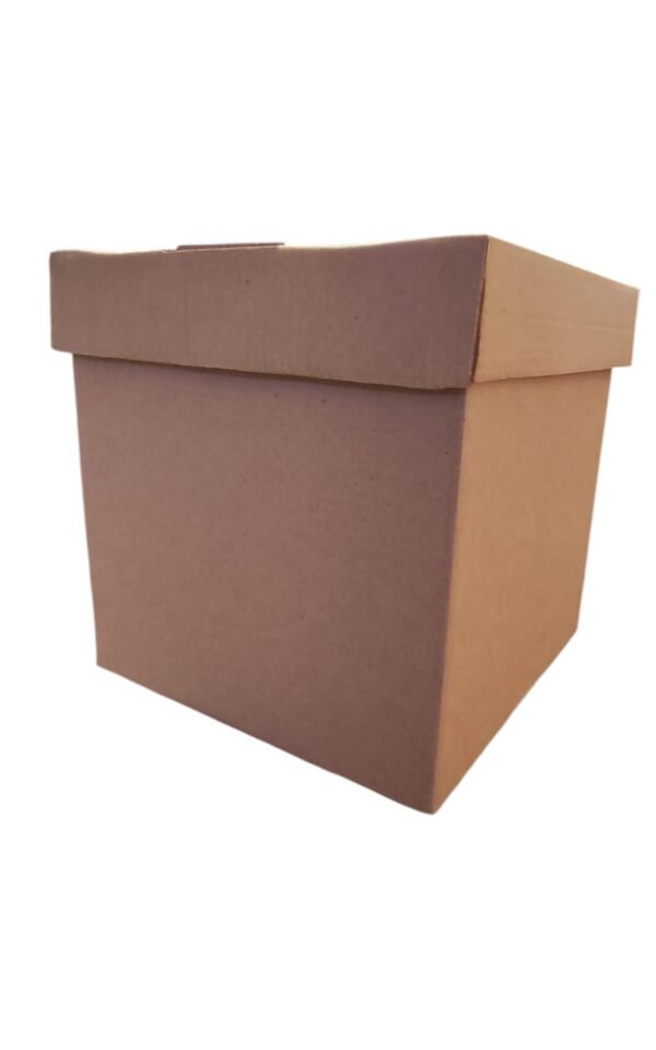CAJA KRAFT COLOR ENTERO 20X20